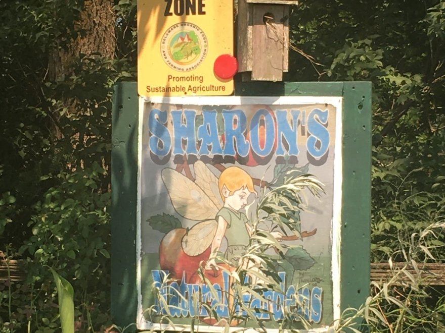 Sharon's Natural Gardens