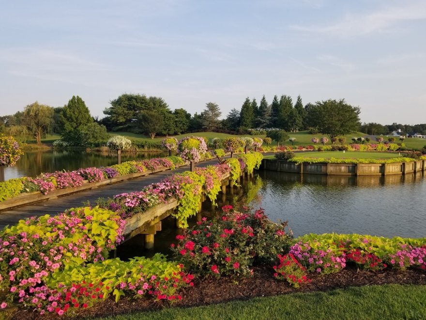 The Clubhouse at Baywood