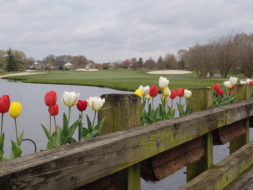 The Clubhouse at Baywood