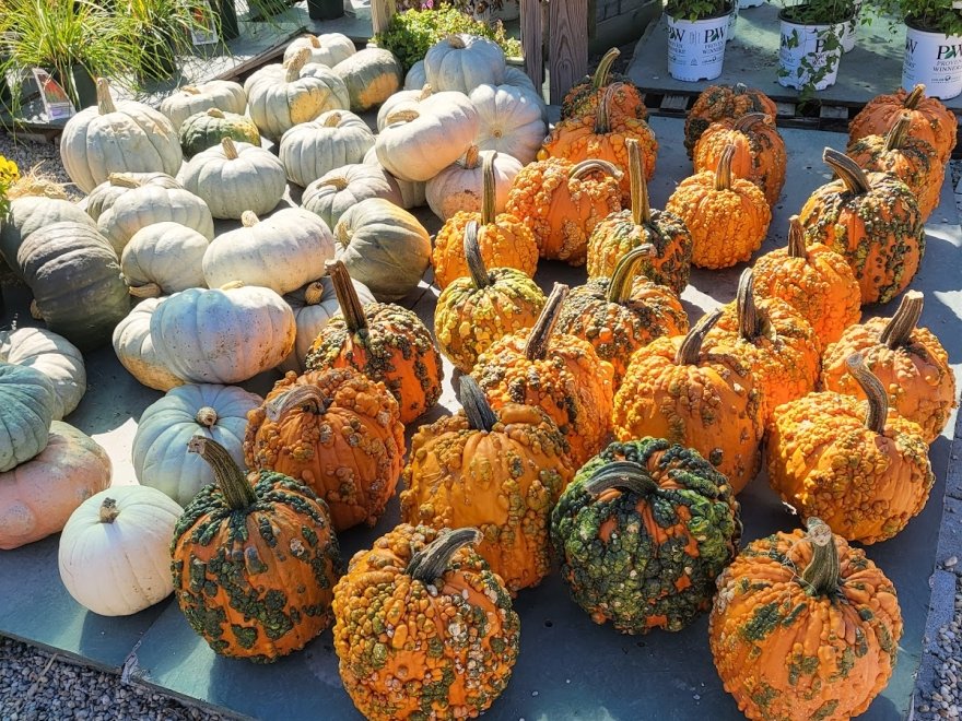 The Station on Kings