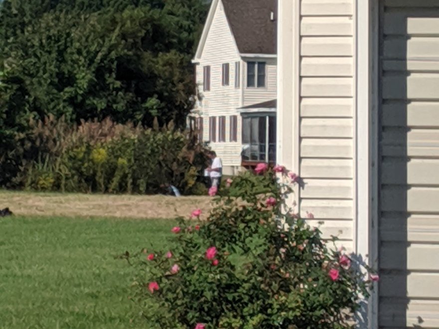 Yellowfin's Bar & Grill