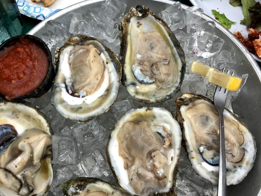 Zogg's Raw Bar & Grill & The Sea Hogg Food Truck