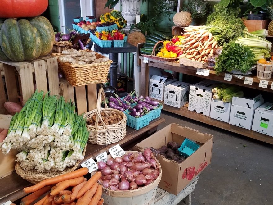 The Brush Factory on Kings