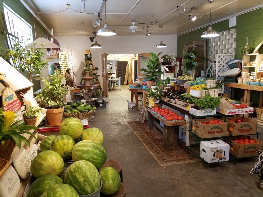 The Brush Factory on Kings