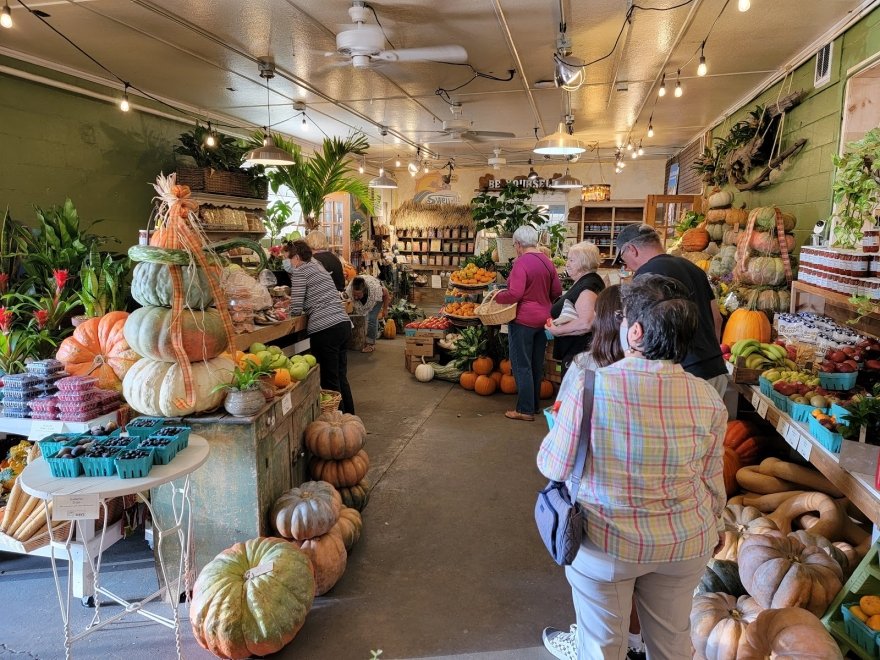 The Brush Factory on Kings