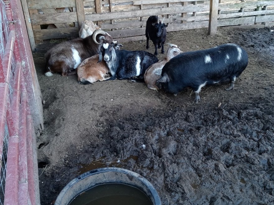 Red Barn Country Store