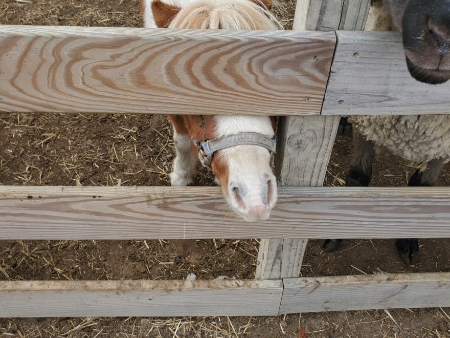Red Barn Country Store