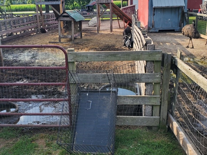 Red Barn Country Store