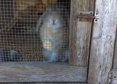 Red Barn Country Store