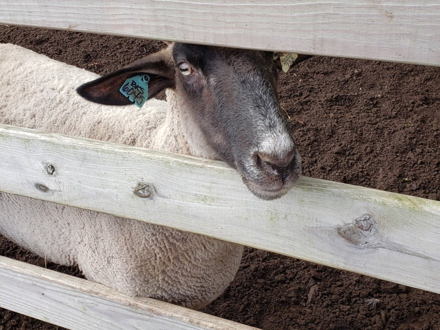 Red Barn Country Store