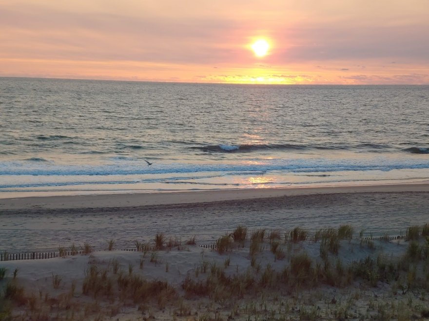 The Surf Club Oceanfront Hotel