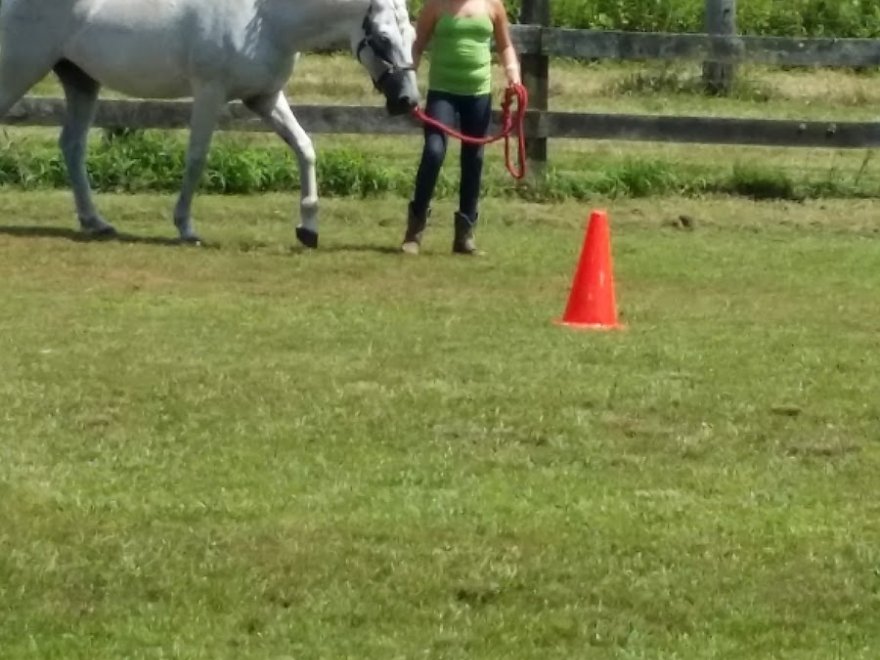 Woodsong Country Inn